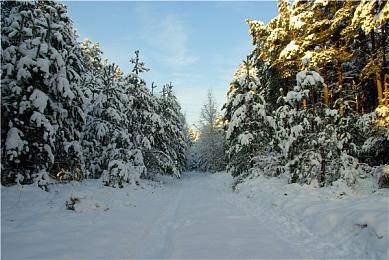 《王者荣耀》赵云嘻哈天王皮肤优化 妹子抵挡不住