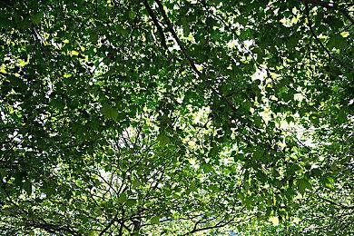 Xbox老大斯宾塞：没必要阻止游戏登陆其它平台